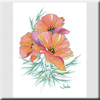 Card 6003